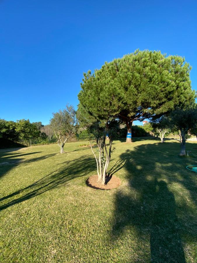 Villa Bemposta Alvor Exterior foto
